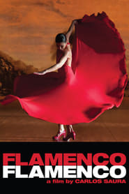 Assista Flamenco Flamenco no Topflix