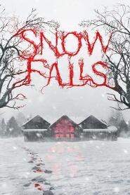 Assista Snow Falls no Topflix