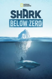 Assista Shark Below Zero no Topflix