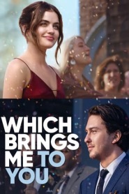 Assista Which Brings Me to You no Topflix