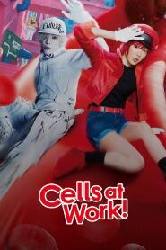 Assista Cells at Work! no Topflix