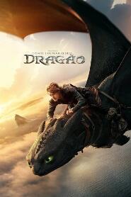 Assista Como Treinar o Seu Dragão no Topflix